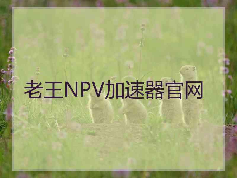 老王NPV加速器官网