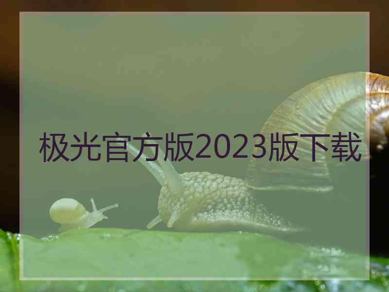 极光官方版2023版下载