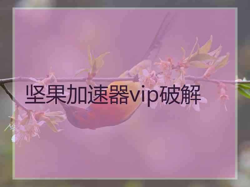 坚果加速器vip破解