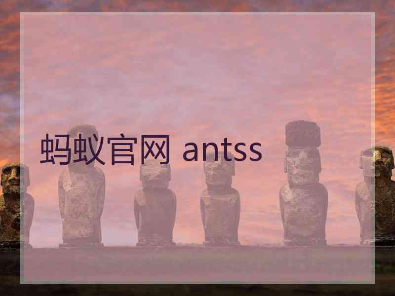 蚂蚁官网 antss