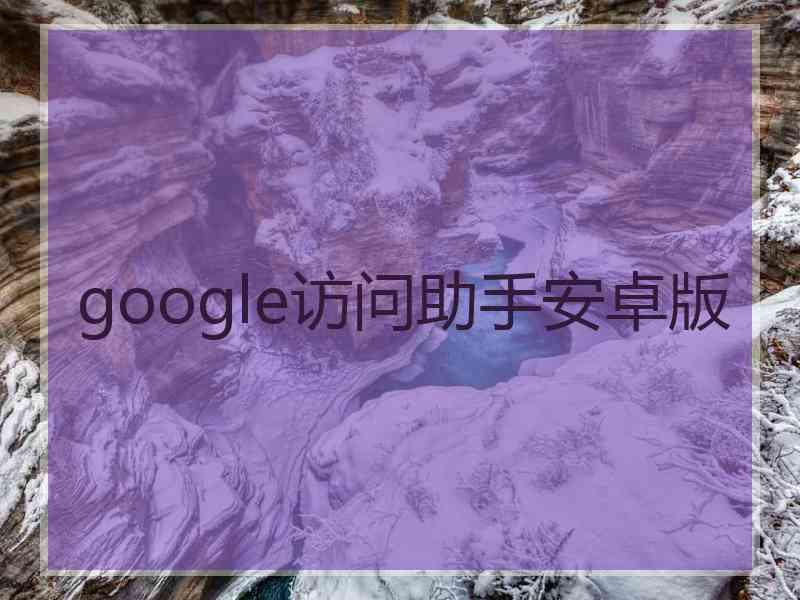 google访问助手安卓版