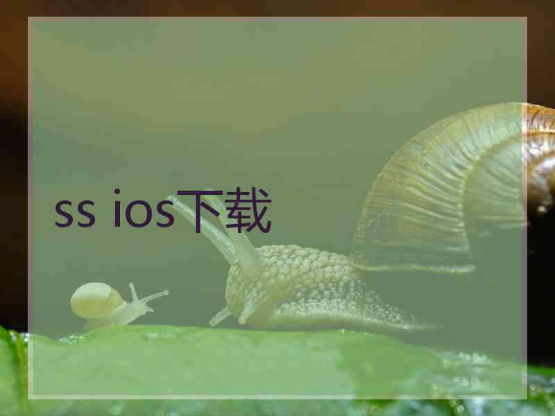 ss ios下载