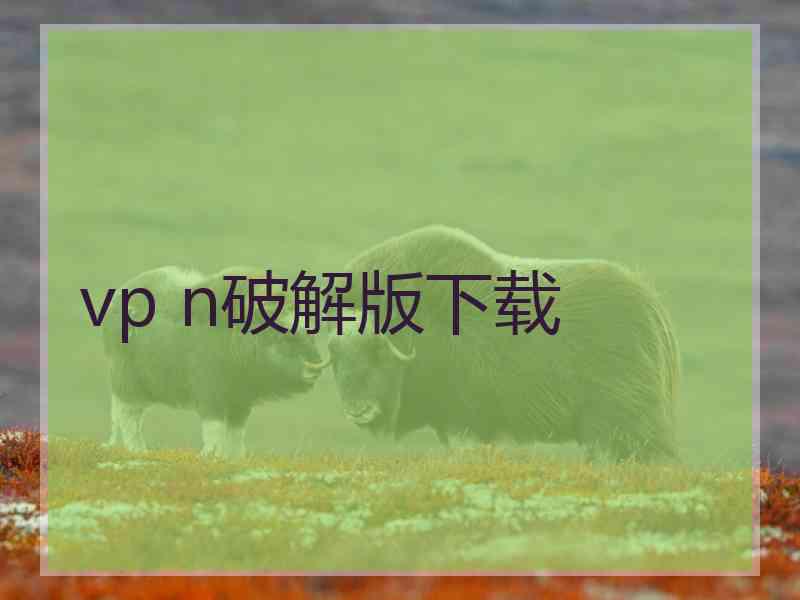 vp n破解版下载