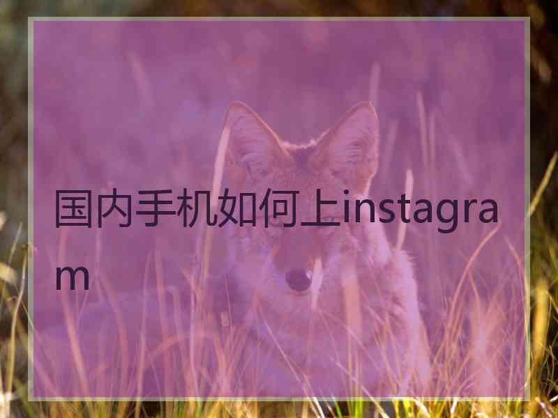 国内手机如何上instagram