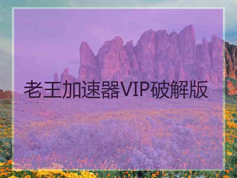 老王加速器VIP破解版