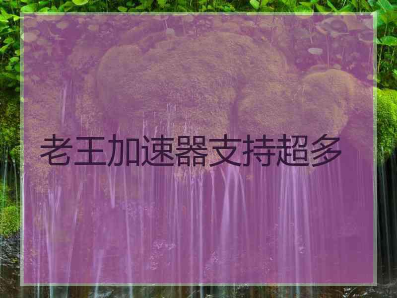 老王加速器支持超多