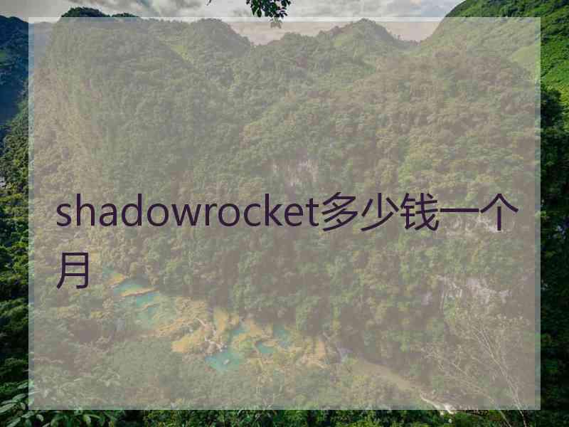 shadowrocket多少钱一个月