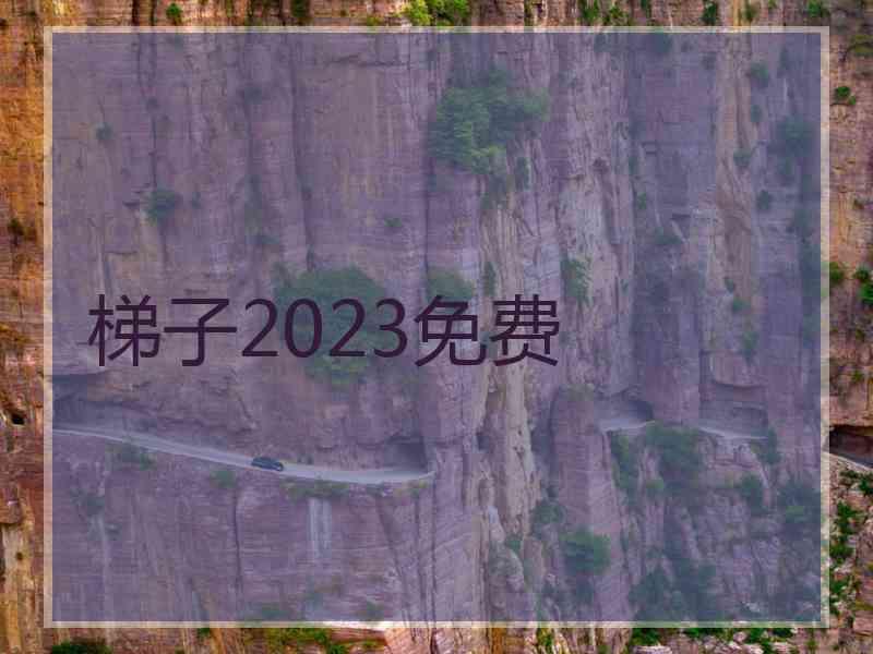 梯子2023免费