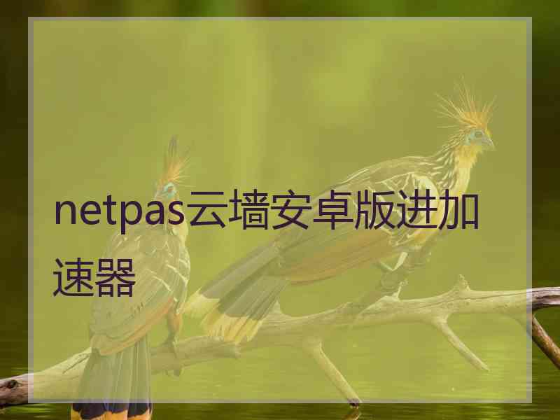 netpas云墙安卓版进加速器