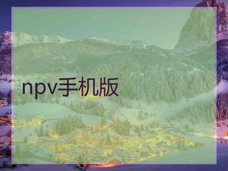 npv手机版