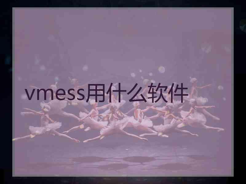 vmess用什么软件