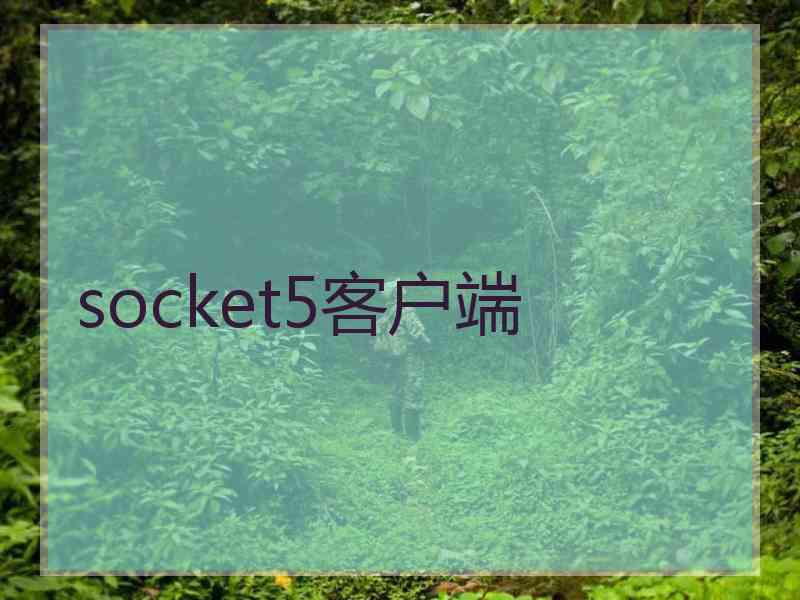 socket5客户端