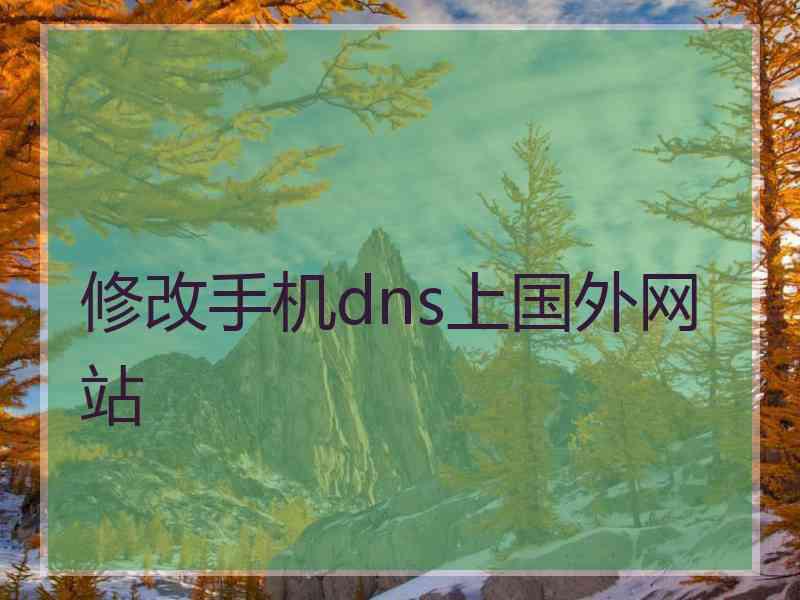 修改手机dns上国外网站