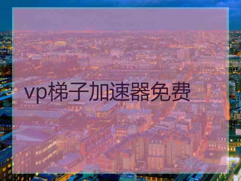 vp梯子加速器免费