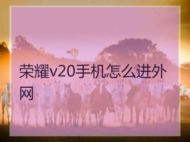 荣耀v20手机怎么进外网