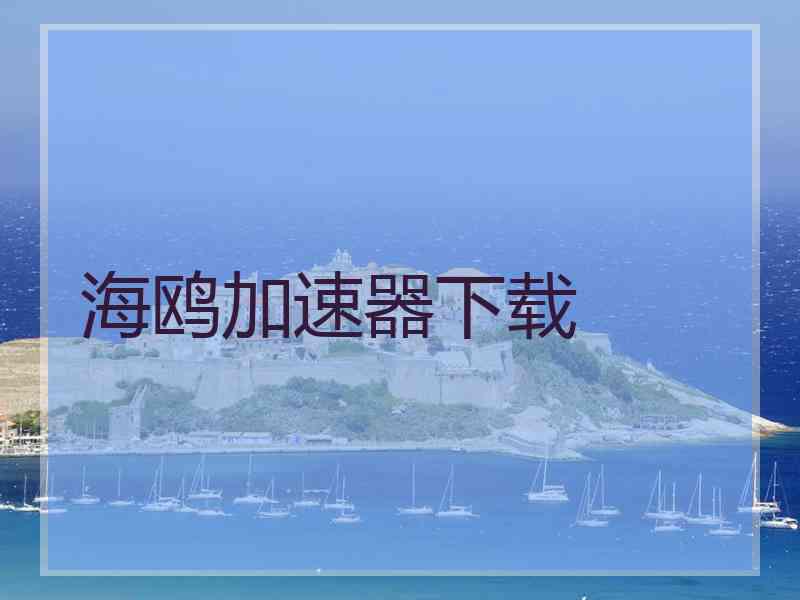 海鸥加速器下载