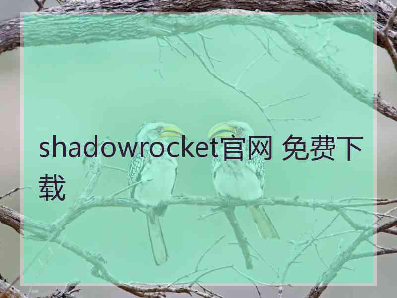 shadowrocket官网 免费下载