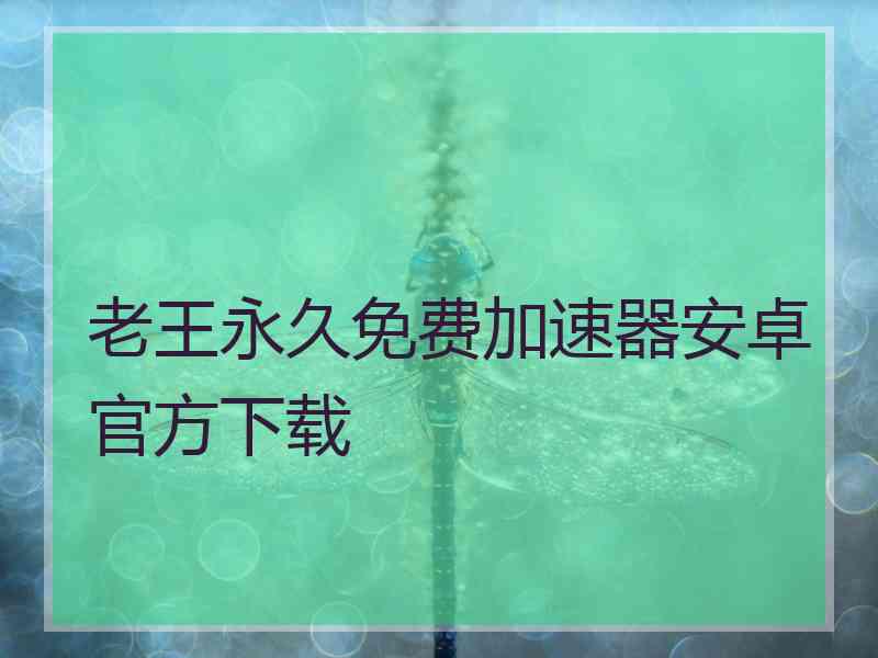 老王永久免费加速器安卓官方下载