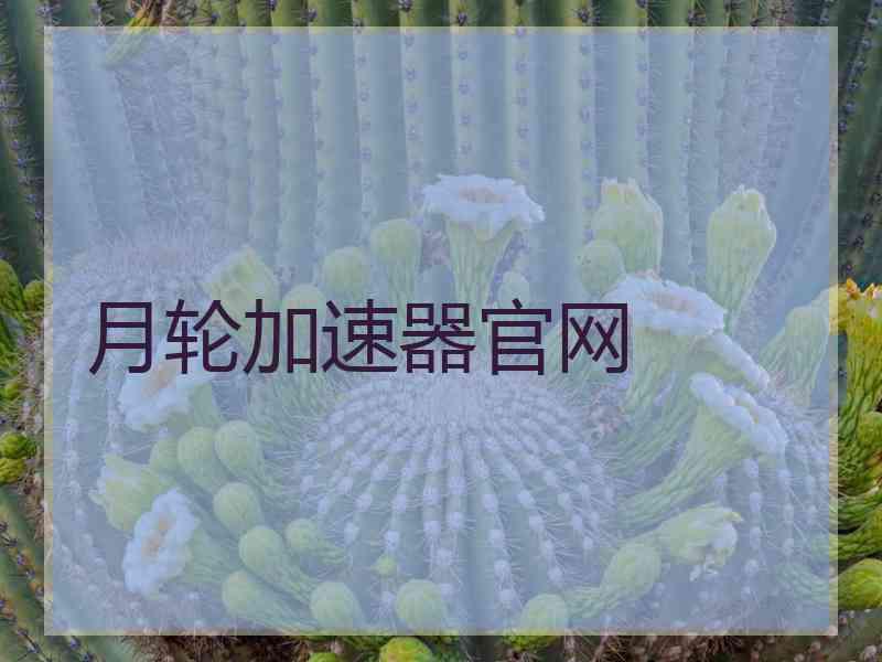 月轮加速器官网