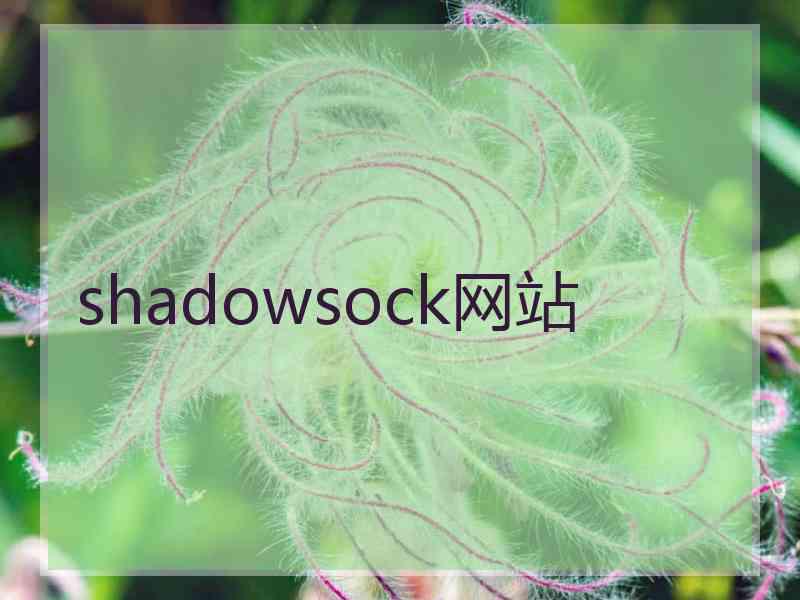 shadowsock网站