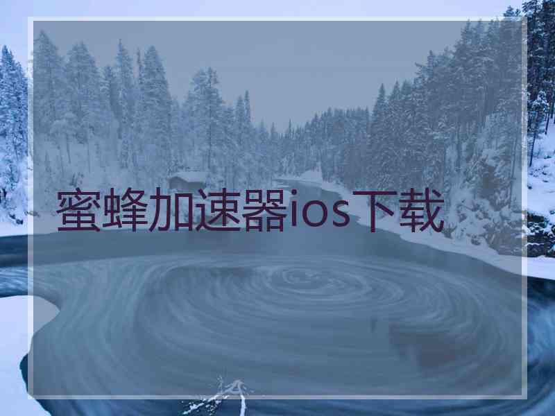 蜜蜂加速器ios下载