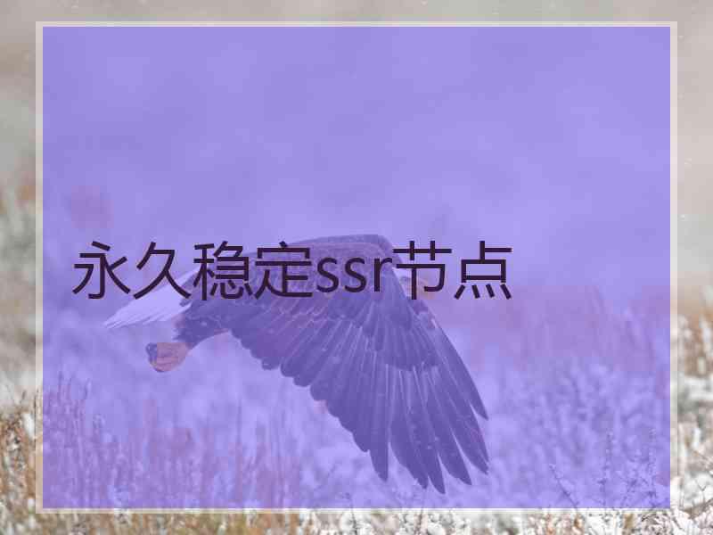 永久稳定ssr节点