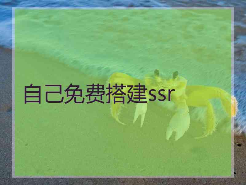 自己免费搭建ssr