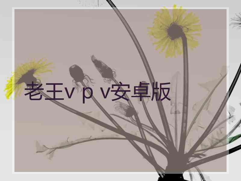 老王v p v安卓版