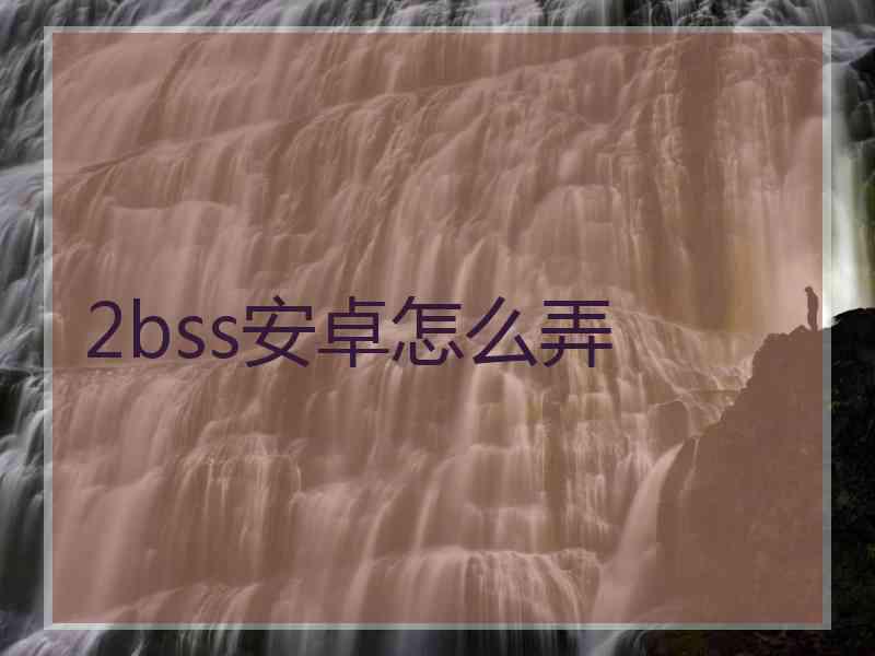 2bss安卓怎么弄