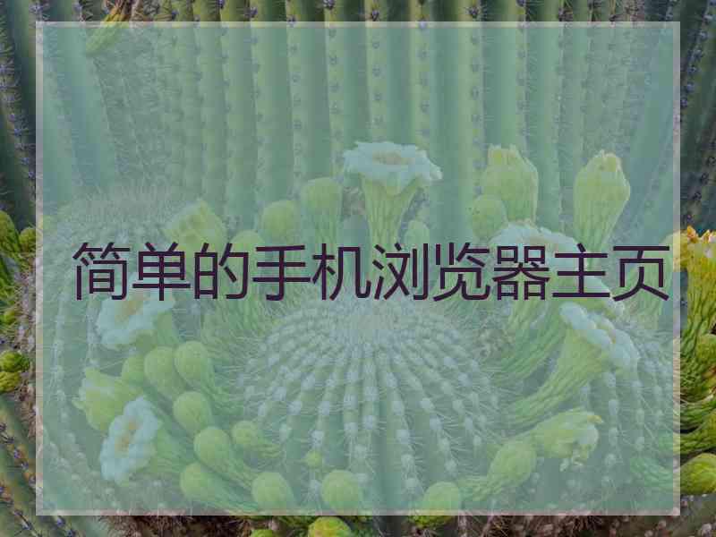 简单的手机浏览器主页