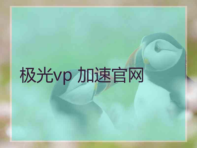 极光vp 加速官网