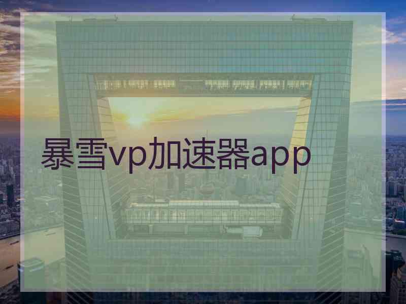 暴雪vp加速器app