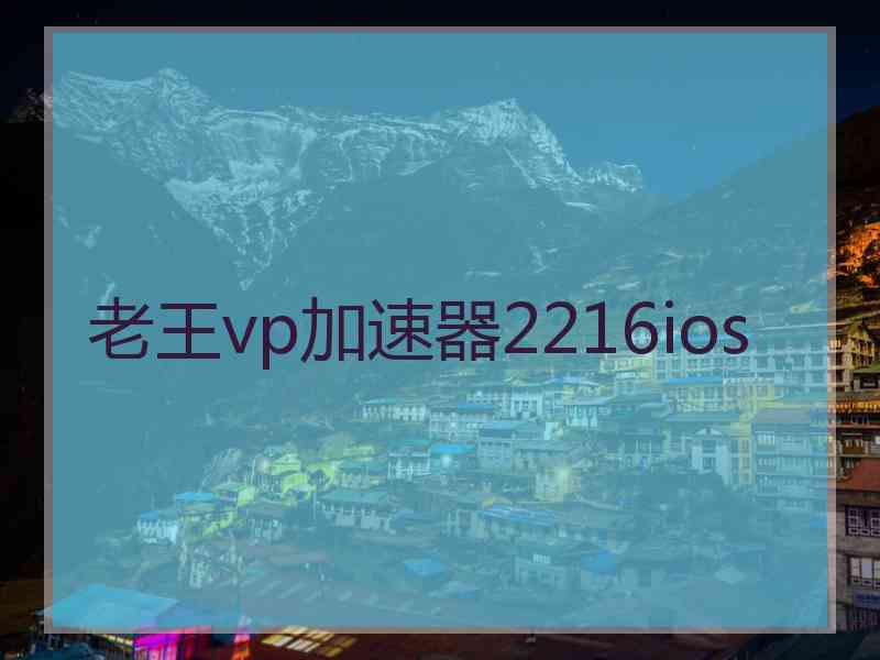 老王vp加速器2216ios