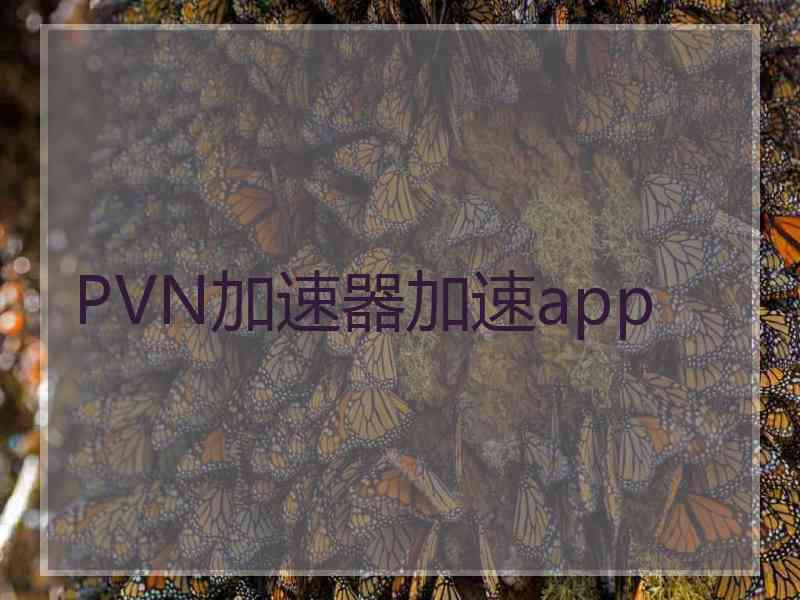 PVN加速器加速app