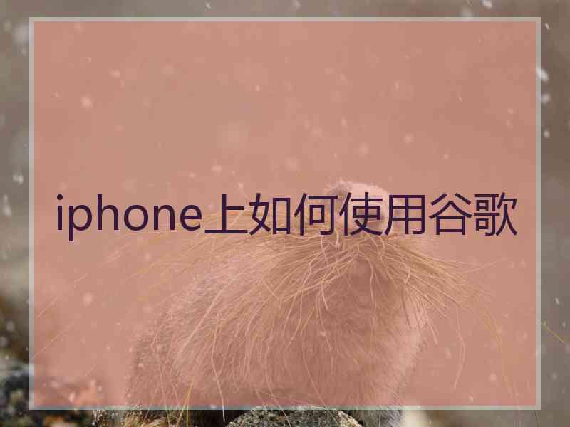 iphone上如何使用谷歌