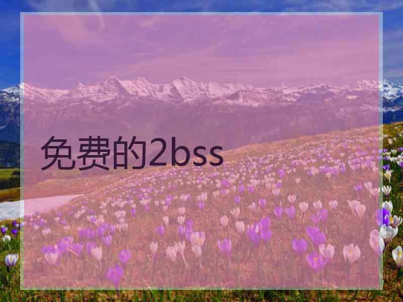 免费的2bss