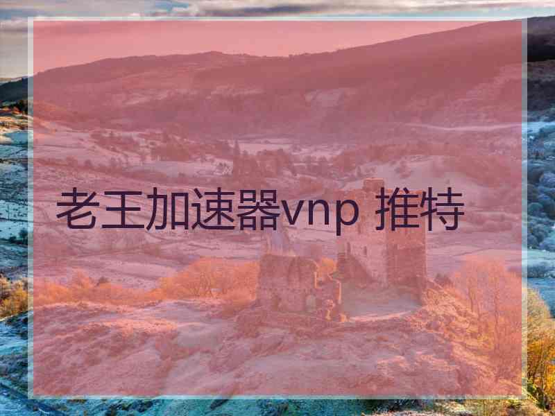 老王加速器vnp 推特