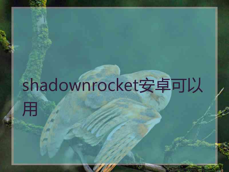 shadownrocket安卓可以用