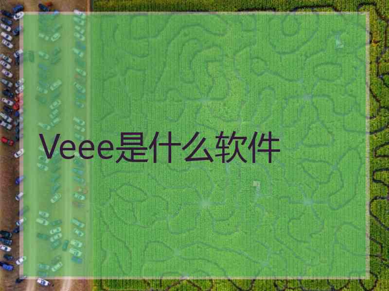 Veee是什么软件