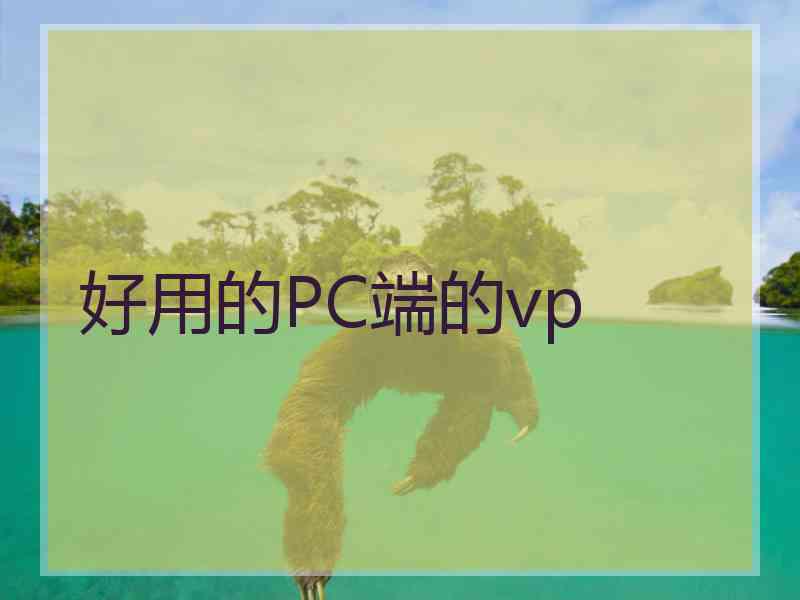 好用的PC端的vp