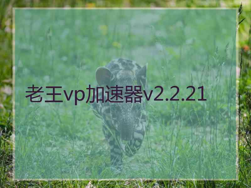 老王vp加速器v2.2.21