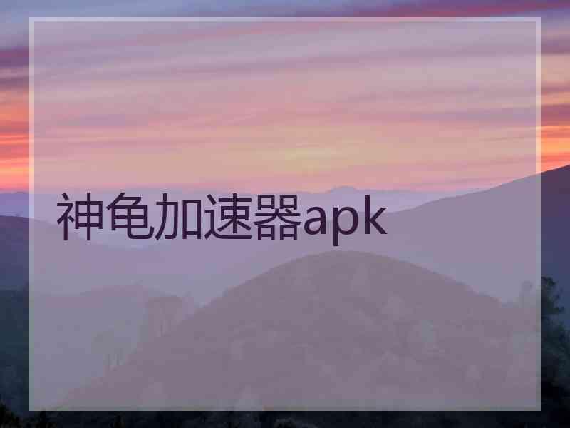 神龟加速器apk