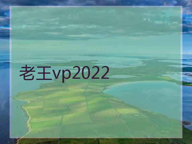 老王vp2022