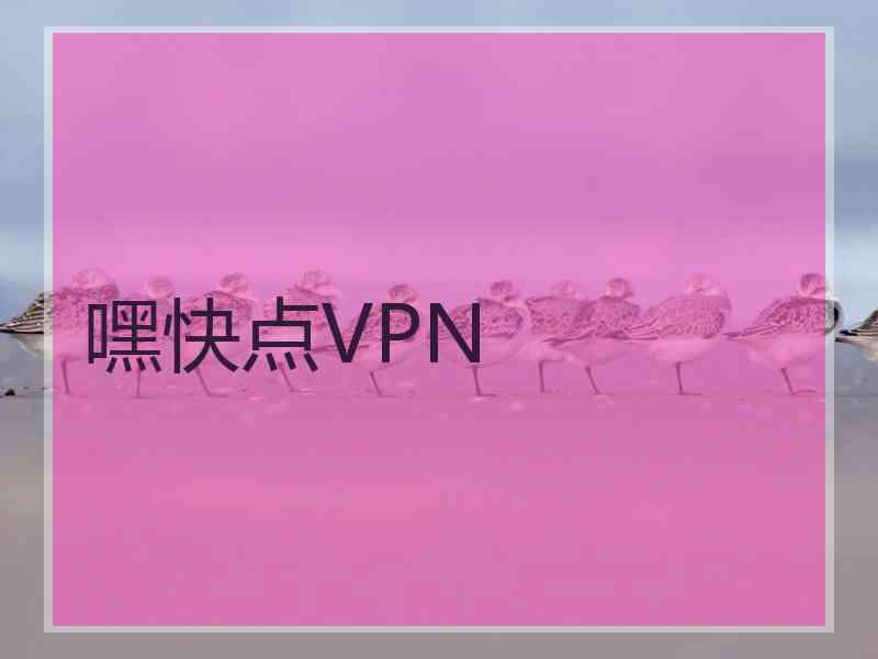 嘿快点VPN