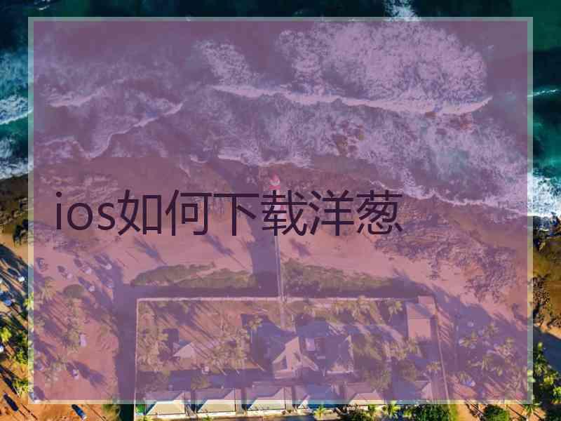 ios如何下载洋葱