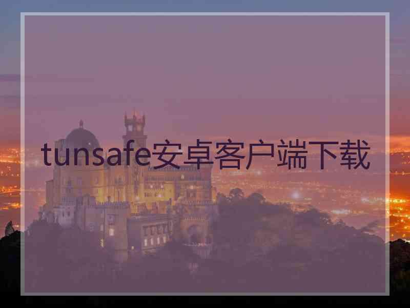 tunsafe安卓客户端下载