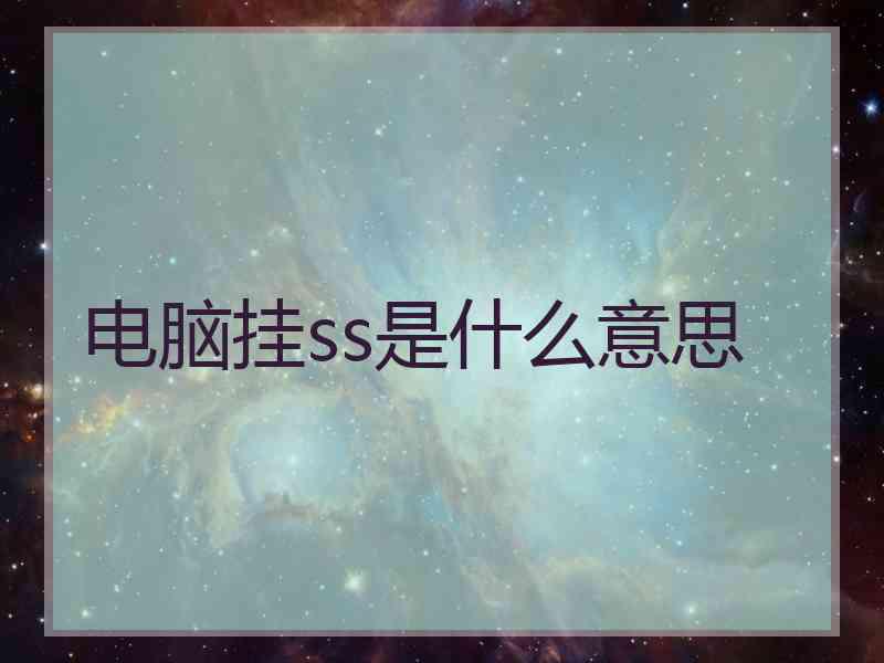 电脑挂ss是什么意思