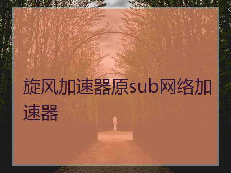 旋风加速器原sub网络加速器