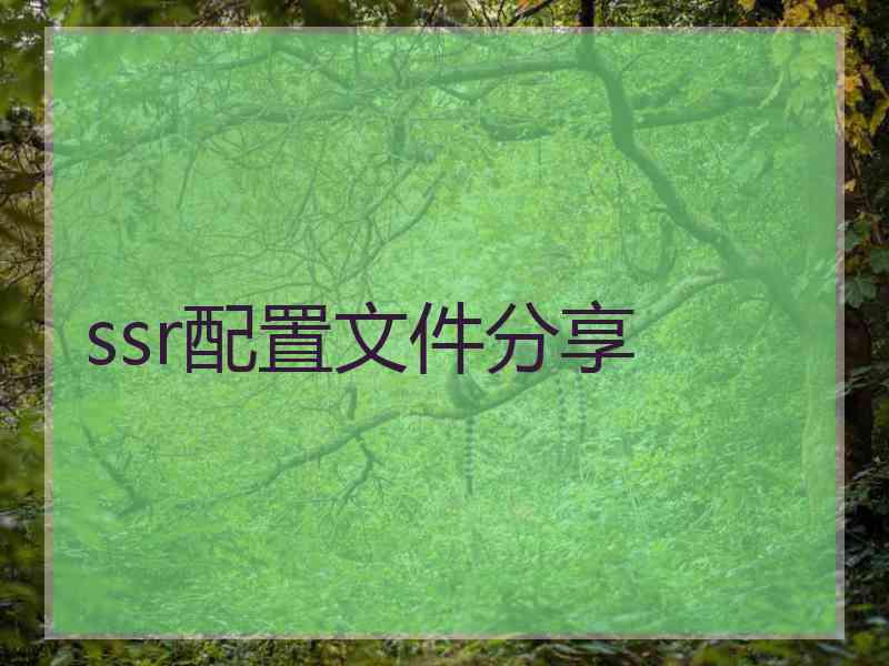 ssr配置文件分享