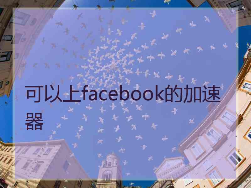 可以上facebook的加速器